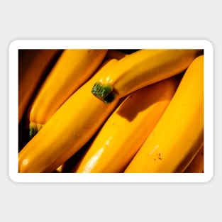 Yellow Zucchini Sticker